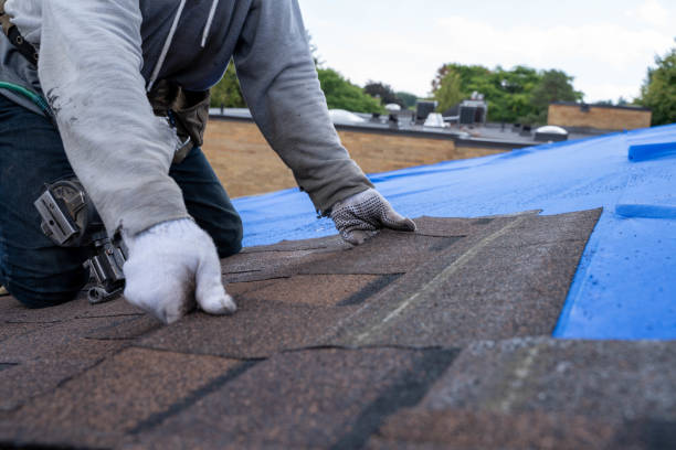 Best Rubber Roofing (EPDM, TPO)  in Endicott, NY