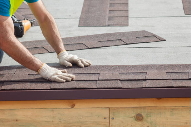 Best Skylight Installation and Repair  in Endicott, NY